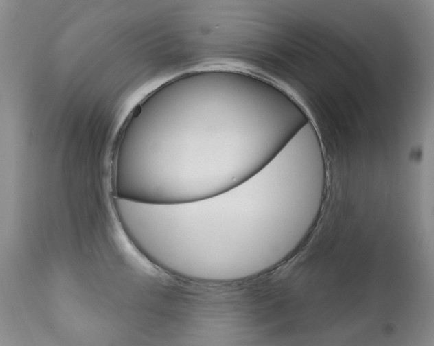 X0000111181003200907011028