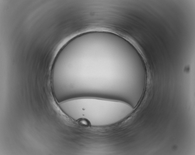 X0000111181004200907011028