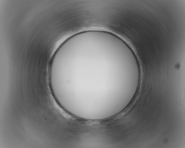 X0000111181006200907011028