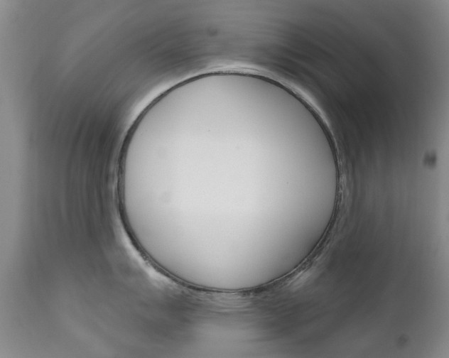 X0000111181007200907011028