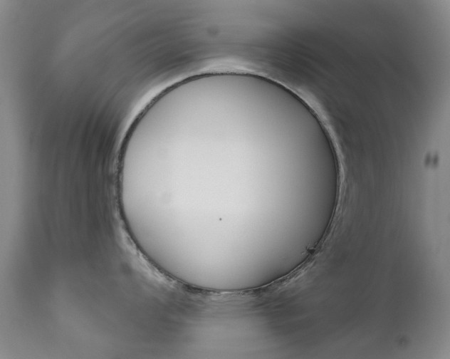 X0000111181008200907011028