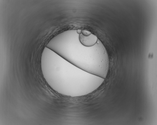 X0000111181009200907011027