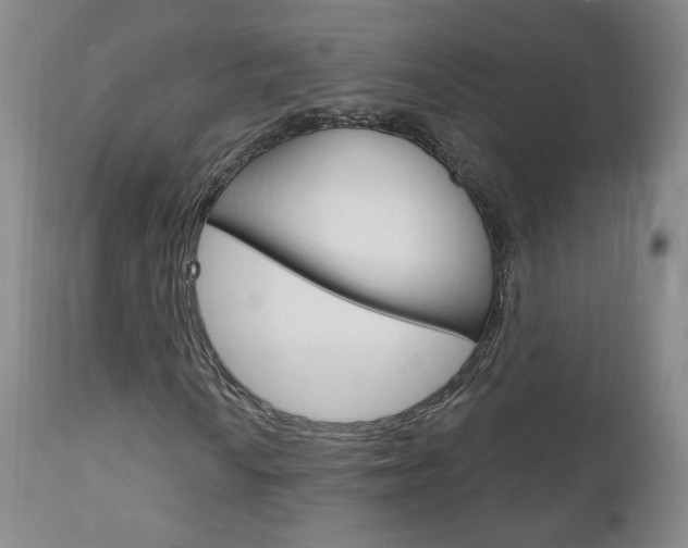 X0000111181010200907011027