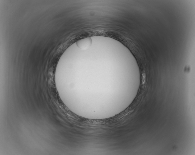 X0000111181011200907011027