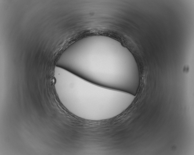 X0000111181012200907011027