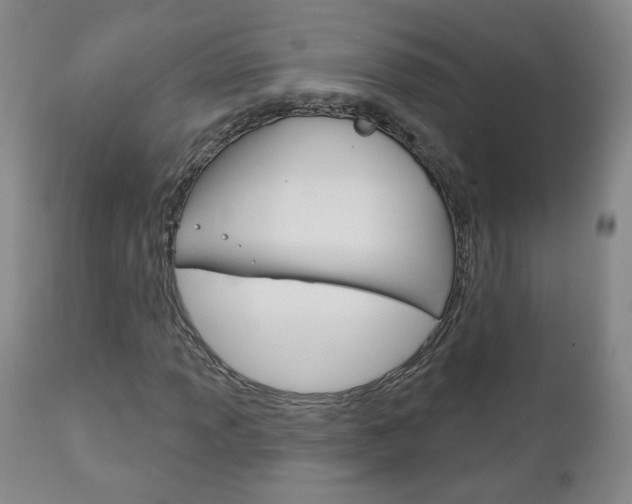 X0000111181013200907011027