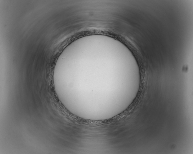 X0000111181015200907011027