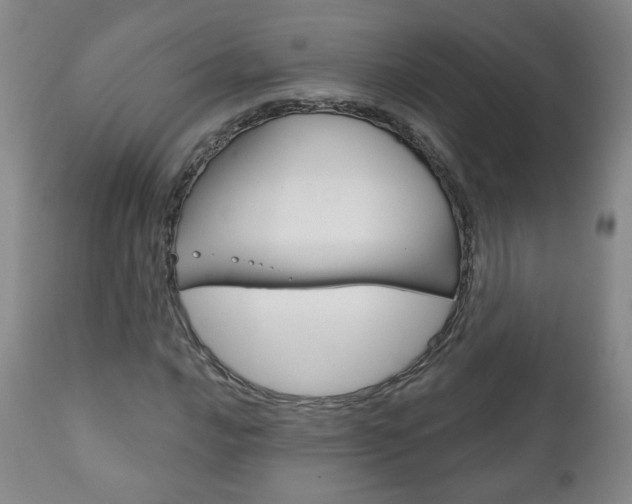 X0000111181016200907011027