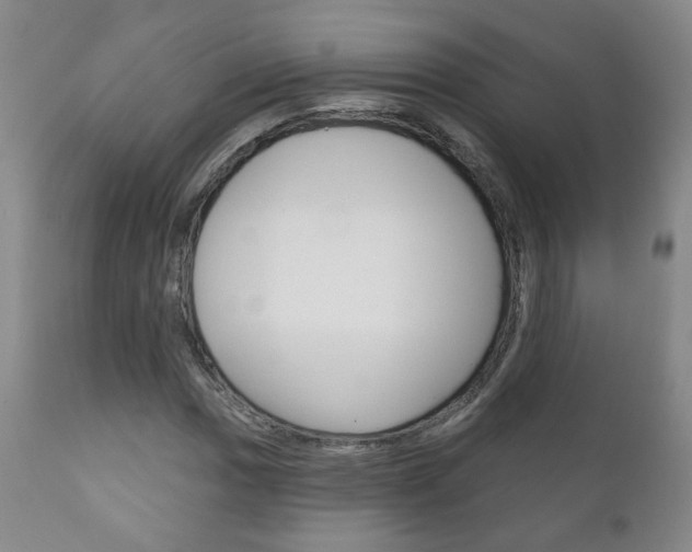 X0000111181017200907011027