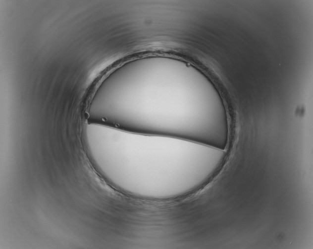X0000111181018200907011027