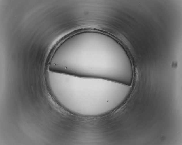 X0000111181020200907011027