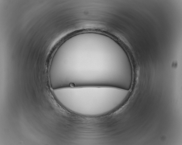 X0000111181021200907011027