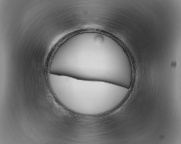 X0000111181022200907011027