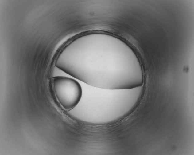 X0000111181024200907011027