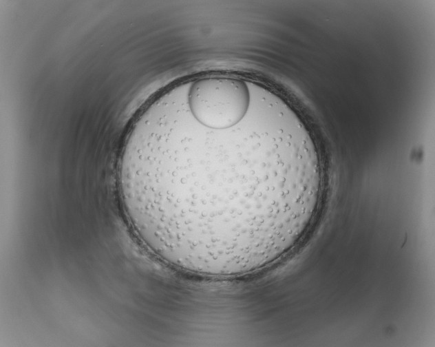 X0000111181025200907011027
