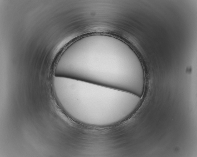 X0000111181026200907011027