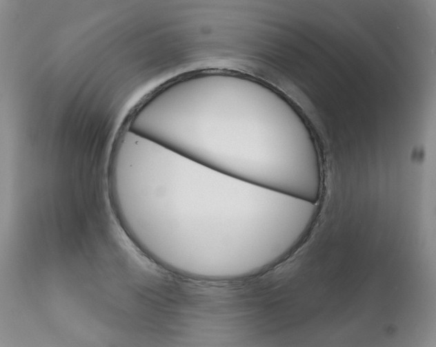 X0000111181028200907011027