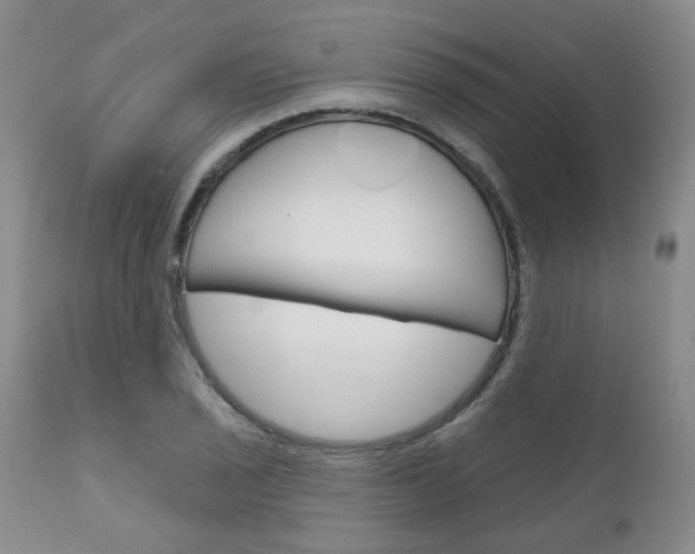 X0000111181029200907011027