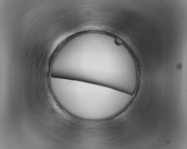 X0000111181030200907011027