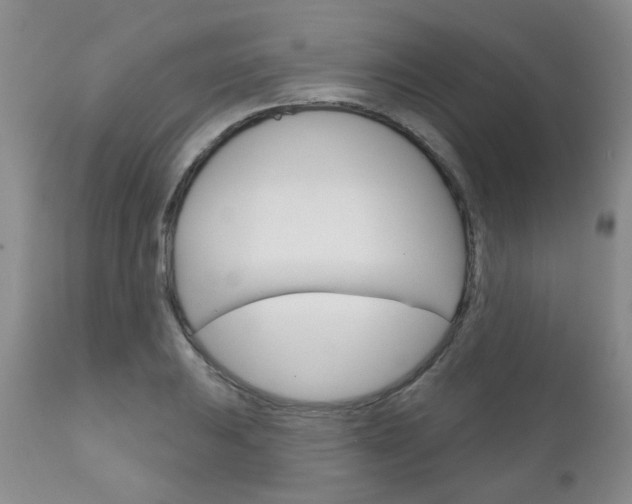 X0000111181031200907011027