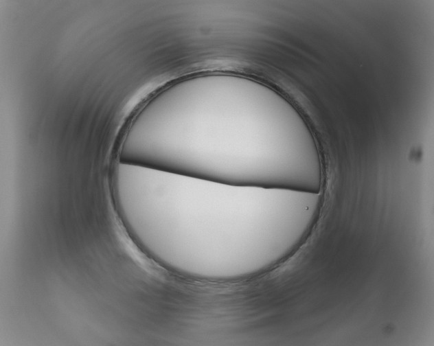 X0000111181034200907011027