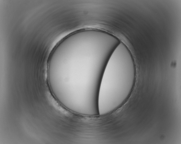 X0000111181036200907011028