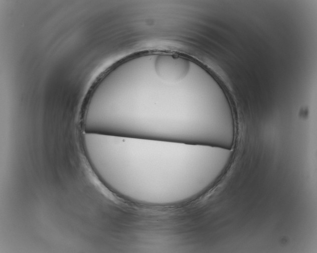 X0000111181037200907011028