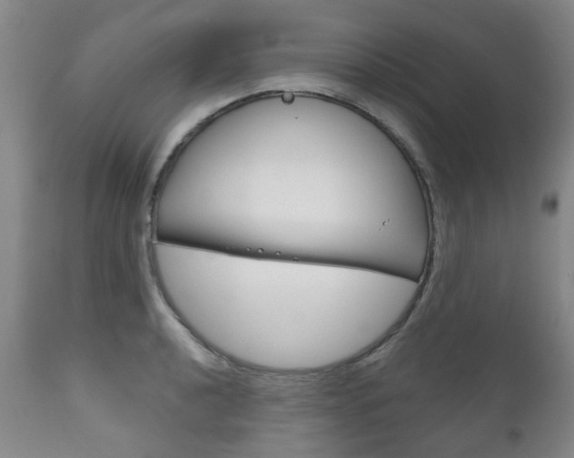 X0000111181040200907011028