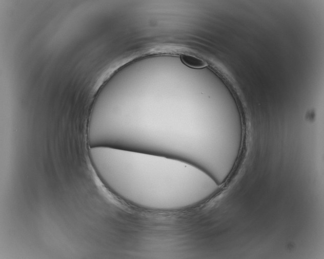 X0000111181041200907011028