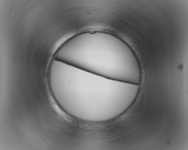 X0000111181042200907011028