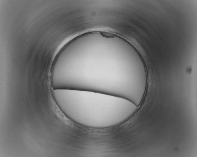 X0000111181044200907011028