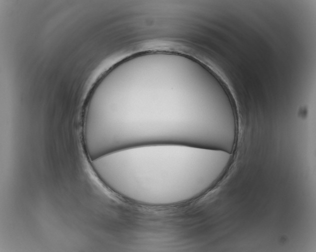 X0000111181045200907011028