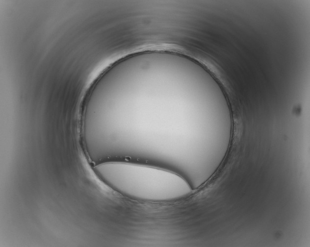X0000111181046200907011028