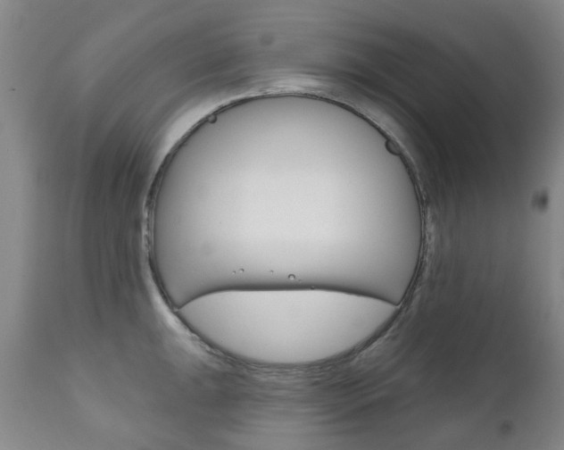 X0000111181047200907011028