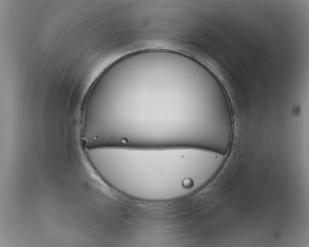 X0000111181048200907011028