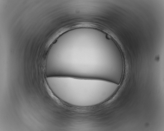 X0000111181049200907011028