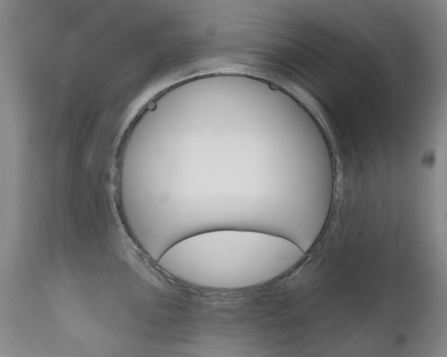X0000111181051200907011028