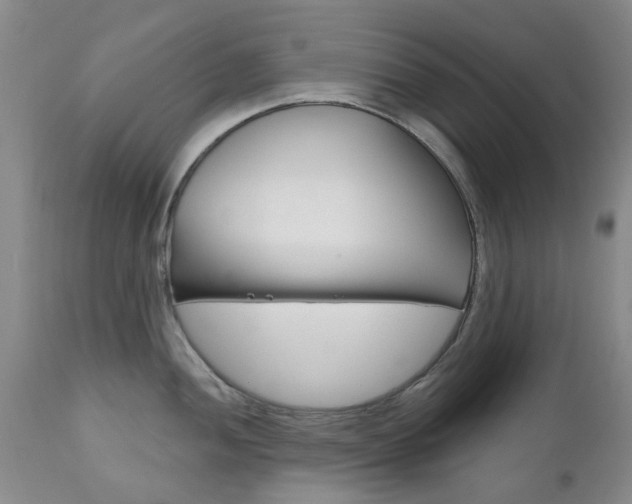 X0000111181052200907011028