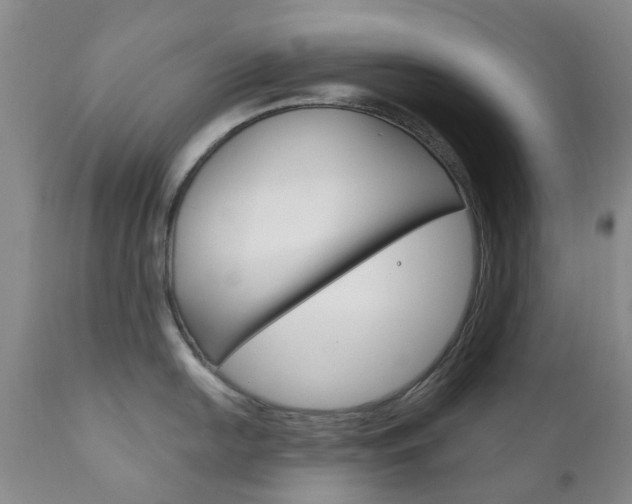 X0000111181054200907011028