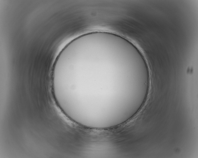 X0000111181056200907011028