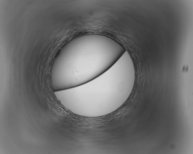 X0000111181057200907011027