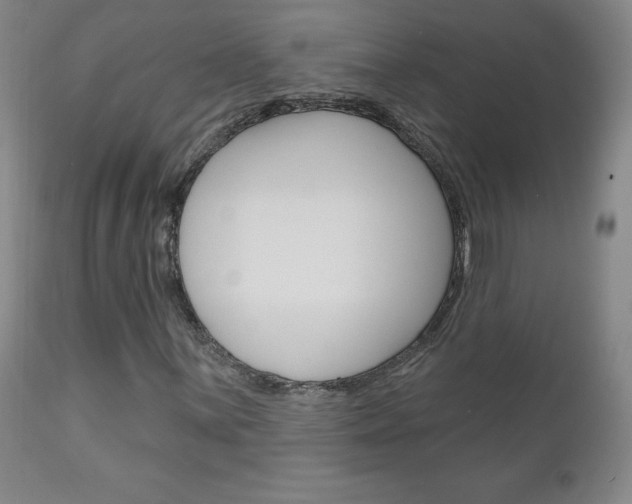 X0000111181059200907011027