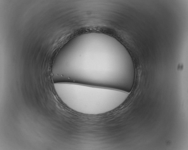 X0000111181060200907011027