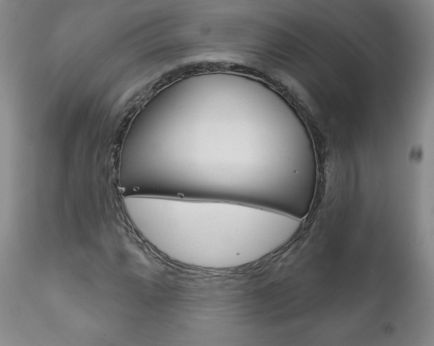 X0000111181064200907011027