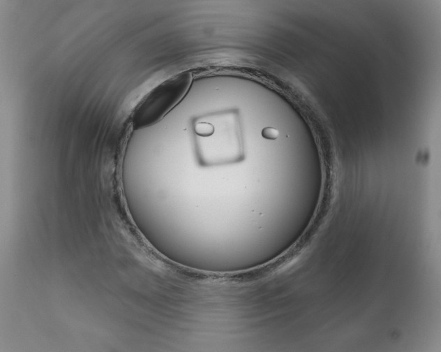 X0000111181065200907011027