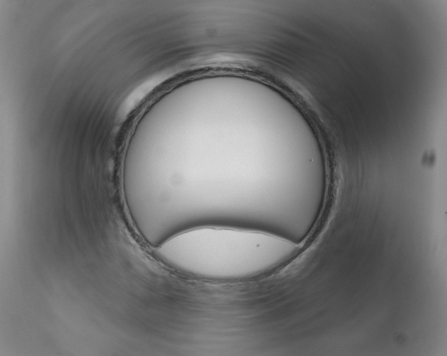 X0000111181066200907011027
