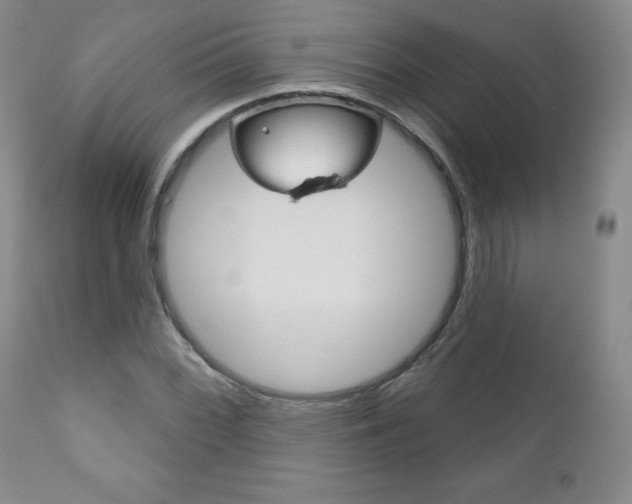 X0000111181068200907011027