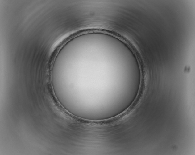 X0000111181069200907011027