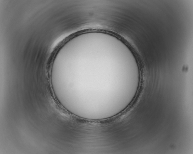 X0000111181070200907011027