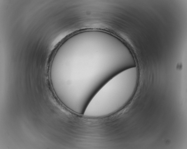 X0000111181071200907011027